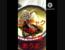 コンニャクの肴にいそ松葉あうよ晩飯にほしいコンニャク肴違った今夜食うさかい