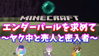 【マインクラフト】「エンダーパールを求めて？」