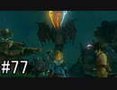 【実況】空の島から始まる新たな冒険【ゼルダの伝説 ティアーズ オブ ザ キングダム】part77