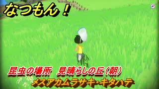 なつもん！　昆虫の場所　見晴らしの丘（朝）　メスアカムラサキ・キタハテ　昆虫集めてステッカーを貰おう！　＃３３４　【なつもん！20世紀の夏休み】