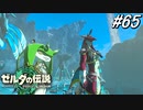 【ティアキン】シド王子の結婚式！おめでとう‼【ゼルダの伝説 ティアーズ オブ キングダム】実況プレイ part65