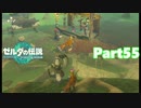 【55】ぼっち勇者の天空探検【ゼルダの伝説ティアーズオブザキングダム】