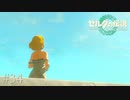 【ゼルダの伝説 Tears of the Kingdom】本当に姫様どこいったんや【実況】#34