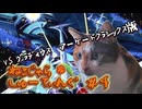 ねこじゃらしゅーてぃんぐ＃４　『グラディウスACAC版』
