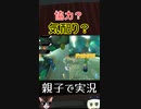 初の1位をゲットした喜びを分かち合えない気まずさ #short #shorts #マリオカート8DX #マリカー #mk8dx  #2人実況