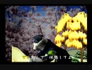 くまうた　（6807）「アイスコーヒー」　唄：嵐山クマ男（夫）