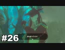 【ゆっくり実況】ゼルダの伝説BotW 4縛り#26