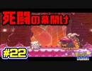 【星のカービィWiiデラックス】宇宙翔ける船と怪しいトモダチ_Part22【実況】