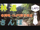 【COEIROINK車載】林道さんぽ＠林道３発・くらがり渓谷周辺【セロー】