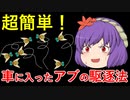 【やってみた】アブの大群も難なく駆逐できる最強対処法【VOICEVOX解説】