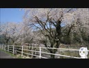 ロードバイクとおっさん[230329]