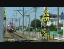 パノラマカー、北安城駅を通過