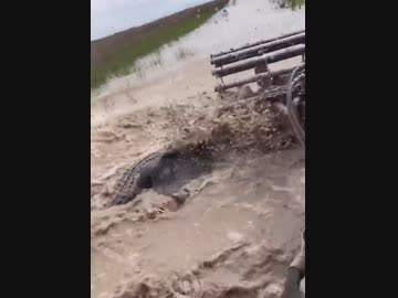 ホモと学ぶルイジアナ州の農業