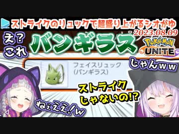 さんざんストライクのリュックを勧めるも実は別に好きじゃないおかゆん