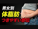 【ダイエット】体脂肪がつきやすい部位と落ちにくい部位【ビーレジェンド プロテイン】【ビーレジェンド プロテイン】
