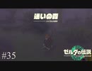 【ゼルダの伝説 Tears of the Kingdom】ガチ迷い【実況】#35