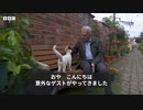どこからともなく白猫が……BBCの生中継中にひょっこり