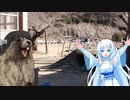 悲しき青春