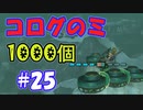コログのミ1000個 part25 【ゼルダの伝説 ティアキン】