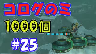 コログのミ1000個 part25 【ゼルダの伝説 ティアキン】