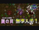 【Elona】記憶は消した 16【実況プレイ】