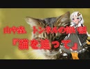 【怖い話】猫を追って(山や森、トンネルの怖い話/voiceroid怪談/結月ゆかり/紲星あかり/琴葉茜/琴葉葵)