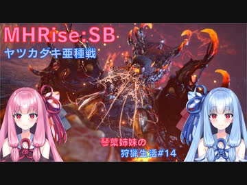 【モンハンライズSB】琴葉姉妹の狩猟生活#14【ボイスロイド実況】