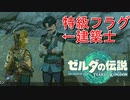 【日刊ゼルダ】神ゲーを全力で楽しむ実況《ティアーズ オブ ザ キングダム》　#９