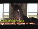 【最新】タイトルホルダー情報！岡田牧雄代表「〇〇を勝ったら引退する」