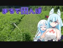 2023年8月10日　農作業日誌P717　延々とくるるんと畑の中を歩き回るだけ