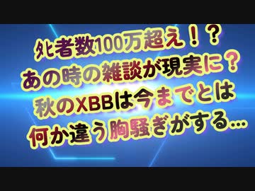 去年のﾀﾋ者数がえげつない！XBB単価は全員巻き込まれる？非常に嫌な胸騒ぎ...
