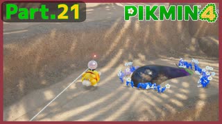 【ピクミン4】Part.21 砂城の忘れ物【実況】