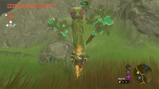 【ティアキン】依頼を受けて、盆栽を作ってみた【ドリカラ】【ボイスピ実況,ゼルダの伝説ティアーズオブザキングダム,TotK,ゼル伝】