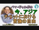 「チベットにおける言論の自由」ぺマギャルポ AJER2023.8.11(4)