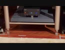 インシュレーター交換前