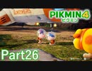 またまたキャンプでひとやすみ【PIKMIN4実況part26】