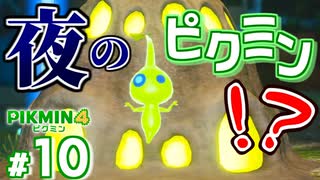 #10 深夜のタワーディフェンスバトル【ピクミン4】