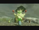 【Switch】リンクがゾナウとゼルダ探し旅【プレイ動画】part20