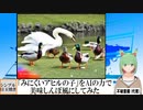 【AI童話】「みにくいアヒルの子」をAIの力で美味しんぼ風にしてみた(2023/08/19)