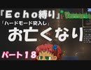 [Terraria]　『Ｅｃｈｏ縛り』パート１８　[ゆっくり実況]