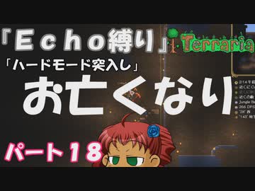 [Terraria]　『Ｅｃｈｏ縛り』パート１８　[ゆっくり実況]