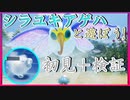 【ピクミン4】シラユキアゲハと遊ぼう！【ゆっくり実況】