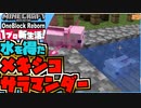 言い出したのはそっちなのに急に冷静になるな【マインクラフト】新生活！9日目【実況】