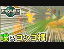 【ゼルダの伝説TOTK】喋るコッコのお告げを聞いた結果・・・【ティアキン】#88