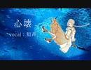 【心壊】知声cover