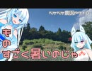 2023年8月11日　農作業日誌P718　そろそろ終わらせたい家庭菜園のネギの草取り作業・・・暑い・・・