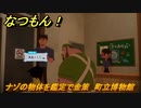 なつもん！　ナゾの物体を鑑定で金策　町立博物館　＃４０９　【なつもん！20世紀の夏休み】