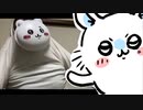 実写版ちいかわ