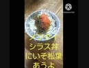 メンタイシラス丼にいそ松葉あうよインター違った面会しらすよんホン鳴ったメンタイシラス丼