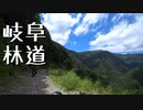 セローで岐阜の林道行ってきた